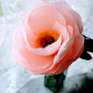 Meet your Posher, T. a.